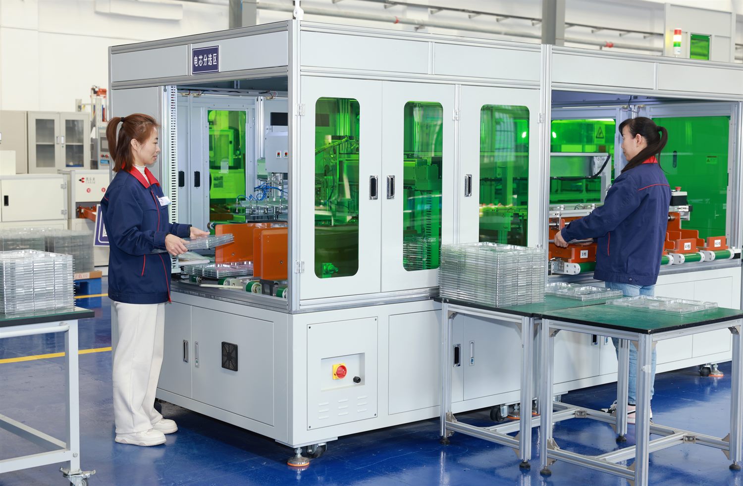 Cell grading and sorting station